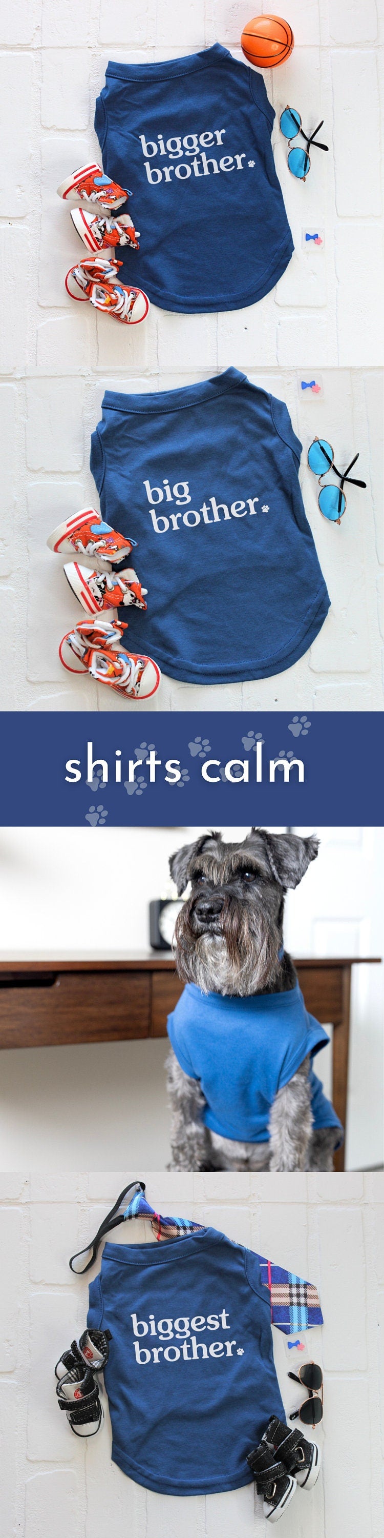 Sibling Dog Shirt in Blue for Big Brother