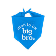 Big Brother Dog Bandana for New Pup, Reveal Idea for Dog Mom