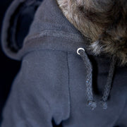 Black Dog Hoodie for Trick or Treating