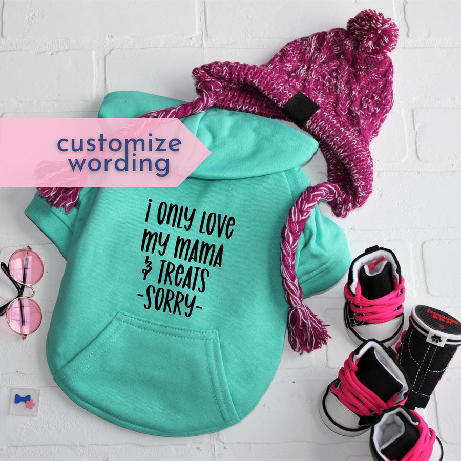 Custom Dog Sweatshirt for Pet Shirt in Teal