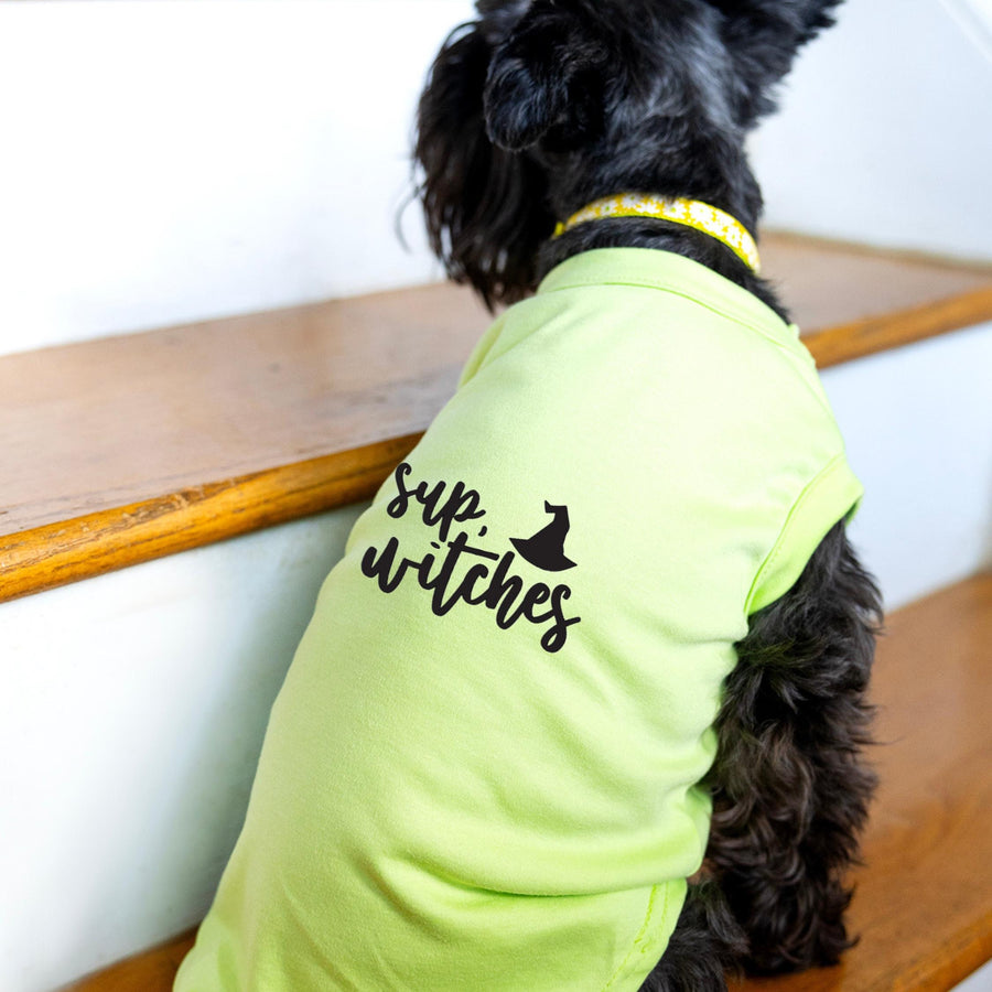 Cute Halloween Shirt for Dog