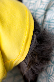 labrador tshirt in bright color, yellow, close up showing hem at shirt bottom