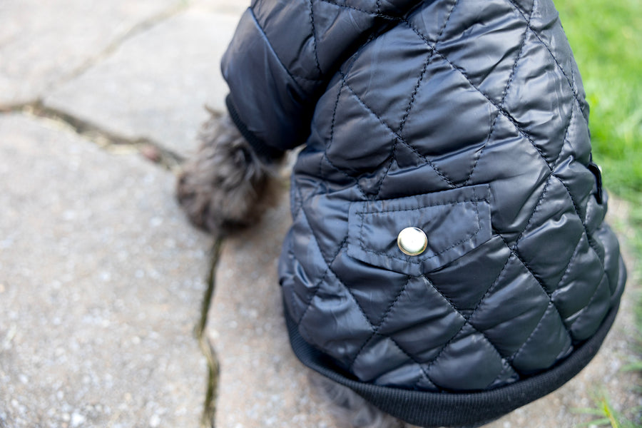 pet coat with pocket in black, pocket snap close up.