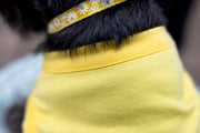 puppy shirt for xs dog in yellow, close up showing neckline hem
