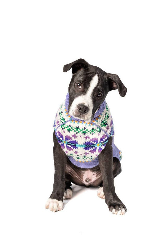 front side of purple dog sweater with flowers