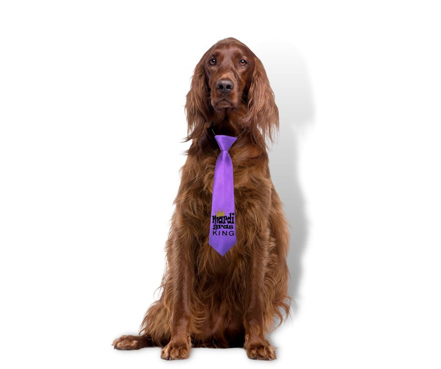 Mardi Gras King Satin Adjustable Dog Tie