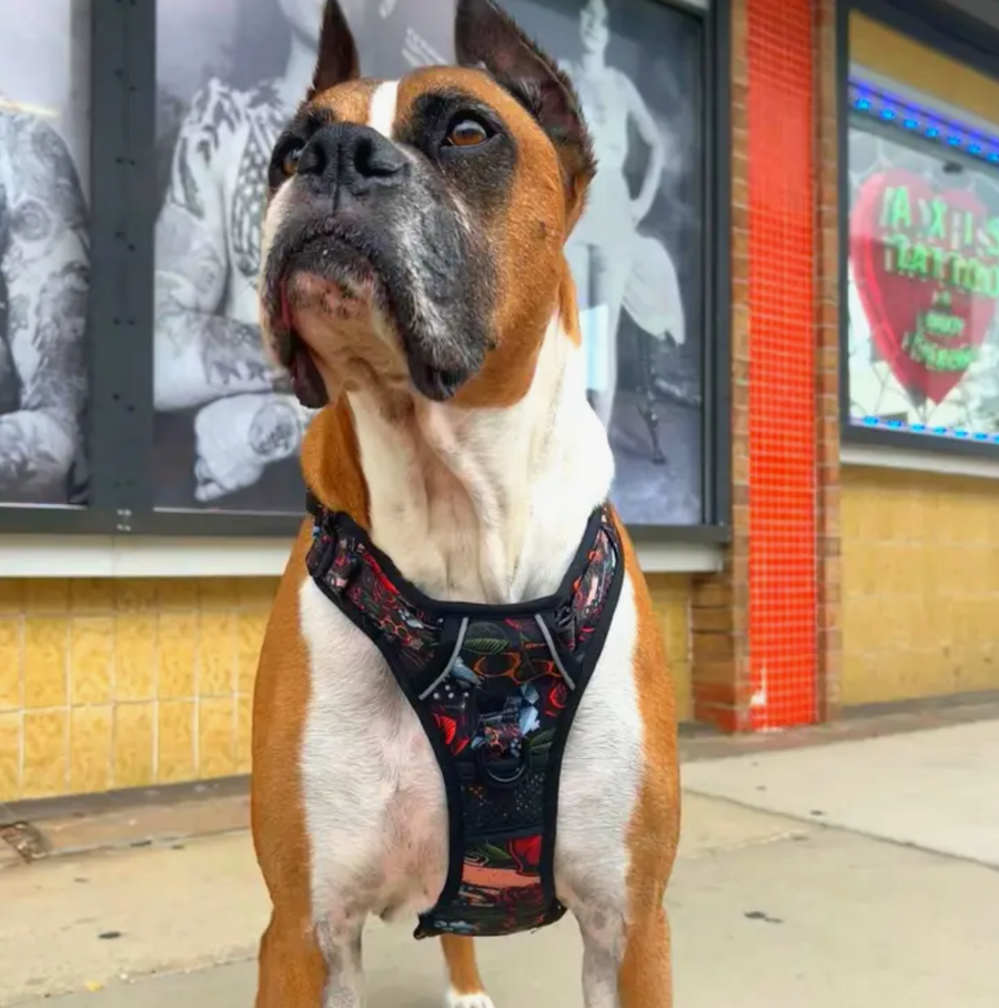 Large breed dog harness hot sale