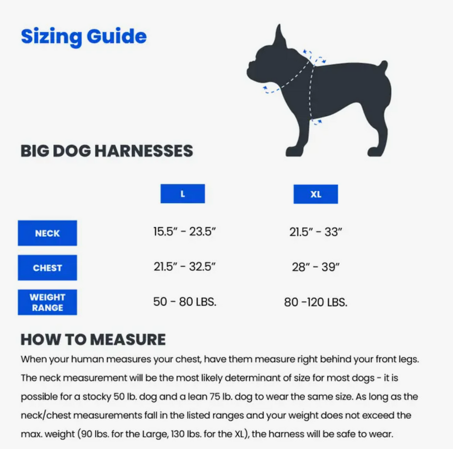 Tattoo Big Dog Harness