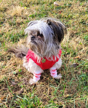 Dog Leg Warmers - Animal Print and Holiday Print