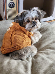 Orange pet sweater with wooden buttons on down laying down
