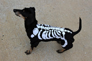Dog skeleton costume in black with white bones, showing side view.