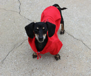 Front view of red custom dog hoodie on Dachshund.
