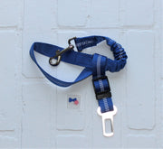 puppy safety belt in blue with reflective threads