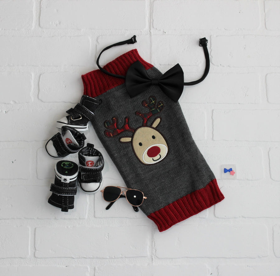 Pet sweater for winter in  gray and red, flat lay view with dog accessories.