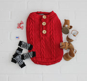 Red dog sweater for winter, flat lay with large buttons.