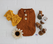 Fall sweater for dogs in orange with dog boots and dog accessories.
