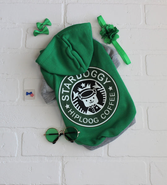 designer dog shirt like starbucks, flat lay with cute dog accessories