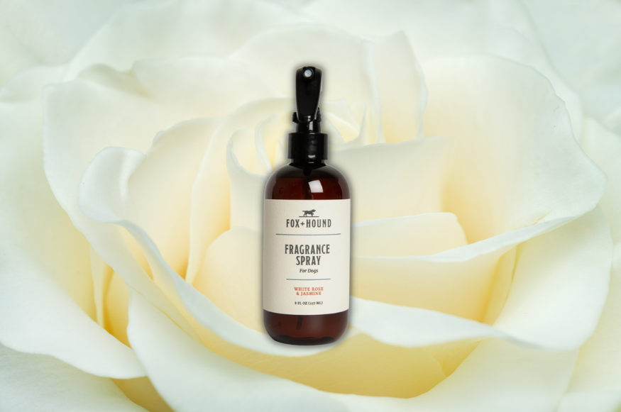 White Rose & Jasmine Dog Perfume - Elegant Fragrance for Female Dogs