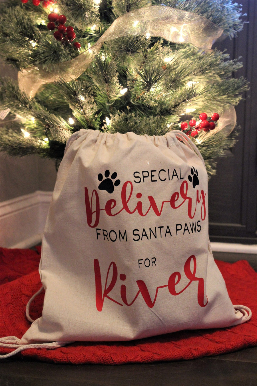 Personalized Santa Bag for Pet