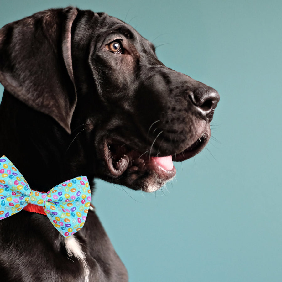 Easter Bow Tie for Pet - Adjustable
