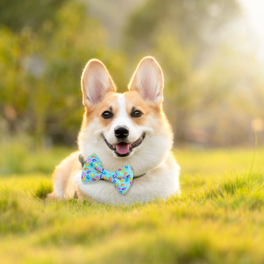 Easter Bow Tie for Pet - Adjustable